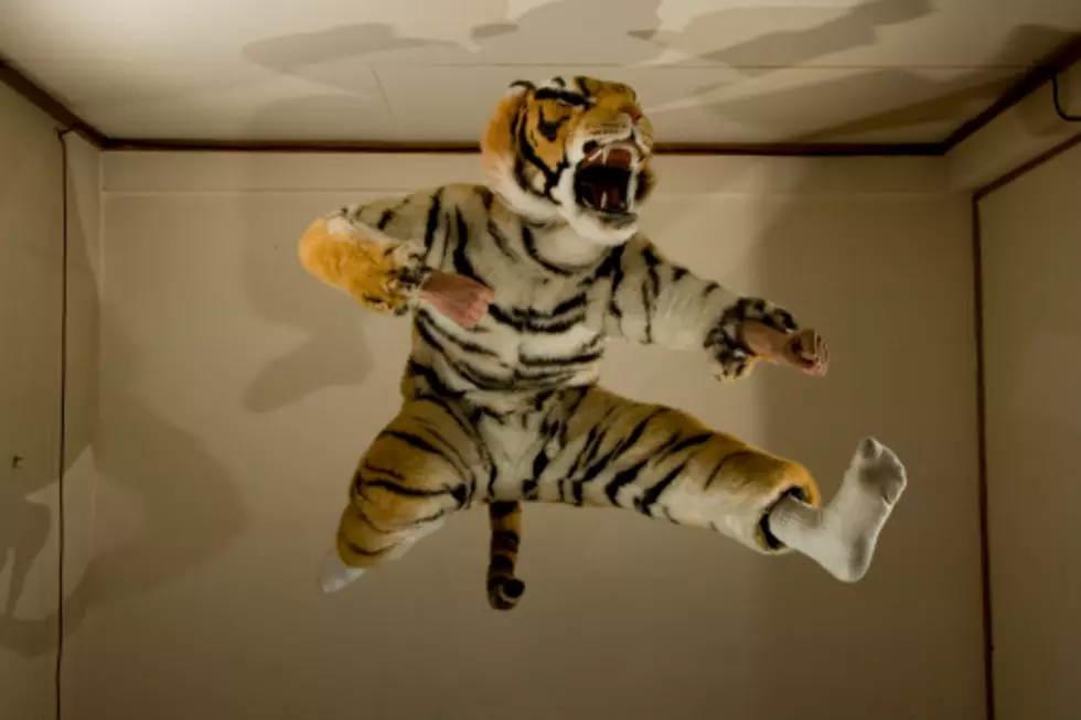 Charges Dropped After Sex Tiger Turns Out to be a Man in a Tiger Suit