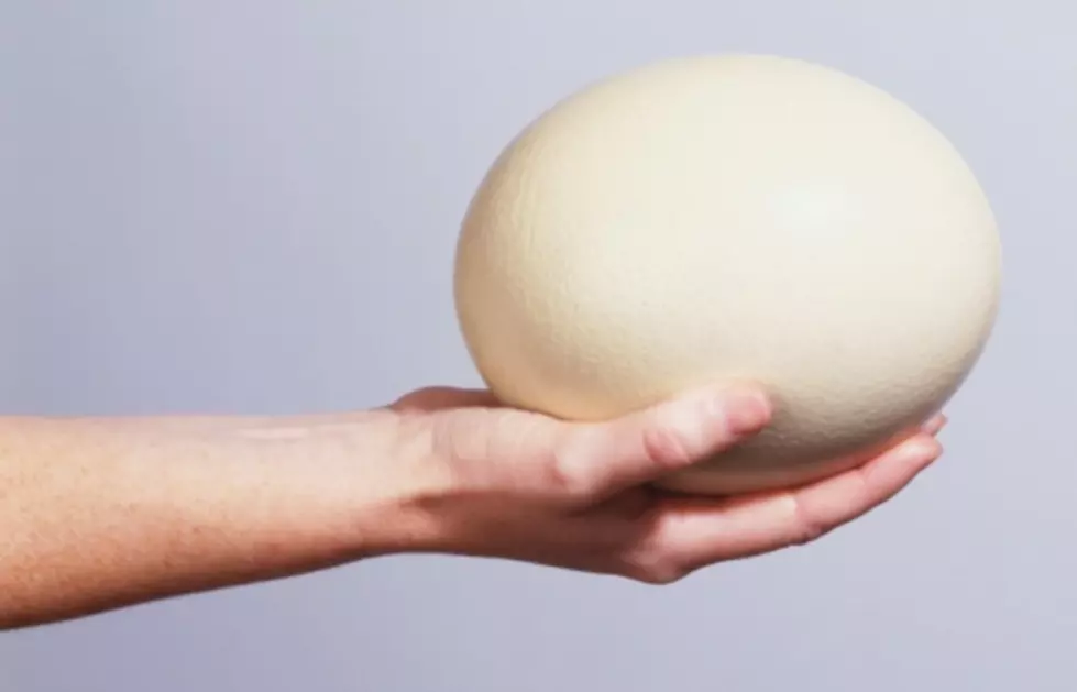 Just in Time for Easter, Man has Giant, Egg Shaped Mass Removed