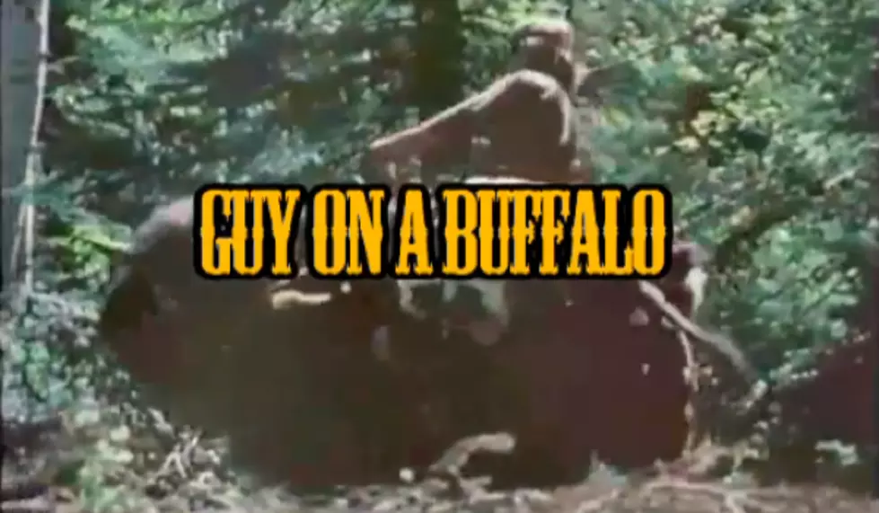 The EPIC Story of a Guy on a Buffalo [VIDEO]