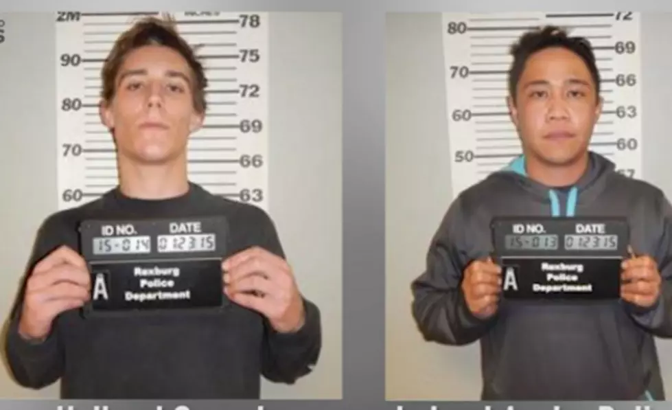Hear Two Stoned Drug Traffickers Turn Themselves in to Idaho Police