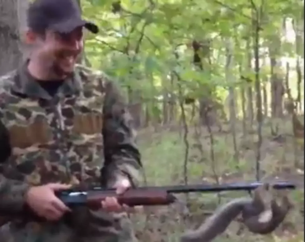 Squirrel With a Deathwish [VIDEO]