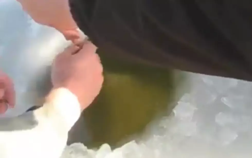 Lake Monster Pulled Out of Ice