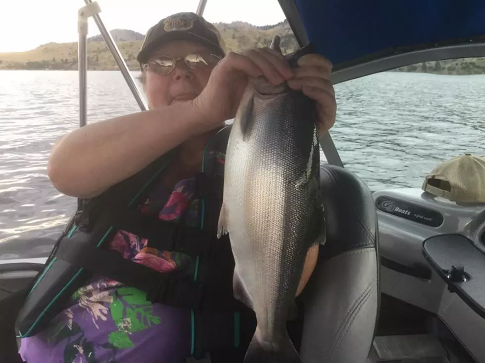 Missoula Area Fishing Report for 7/29/17