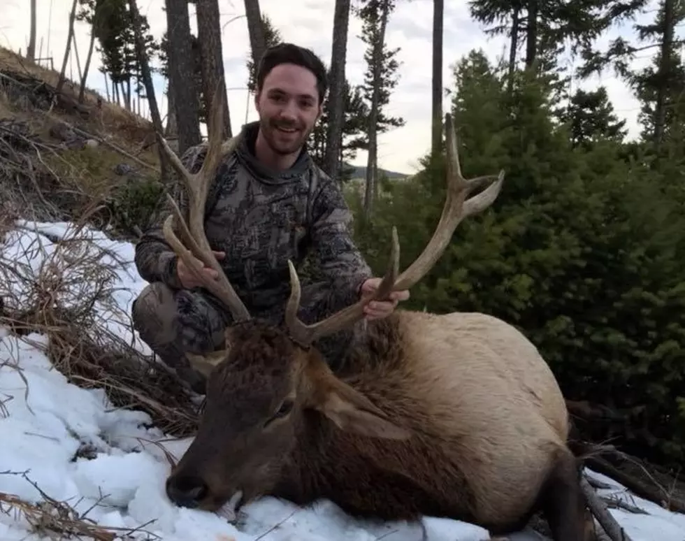 Missoula Hunter Has First Bull Elk Stolen From Truck