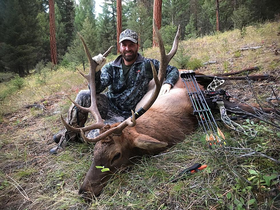 Horn Porn 2017 &#8211; Photos of Successful Montana Hunts