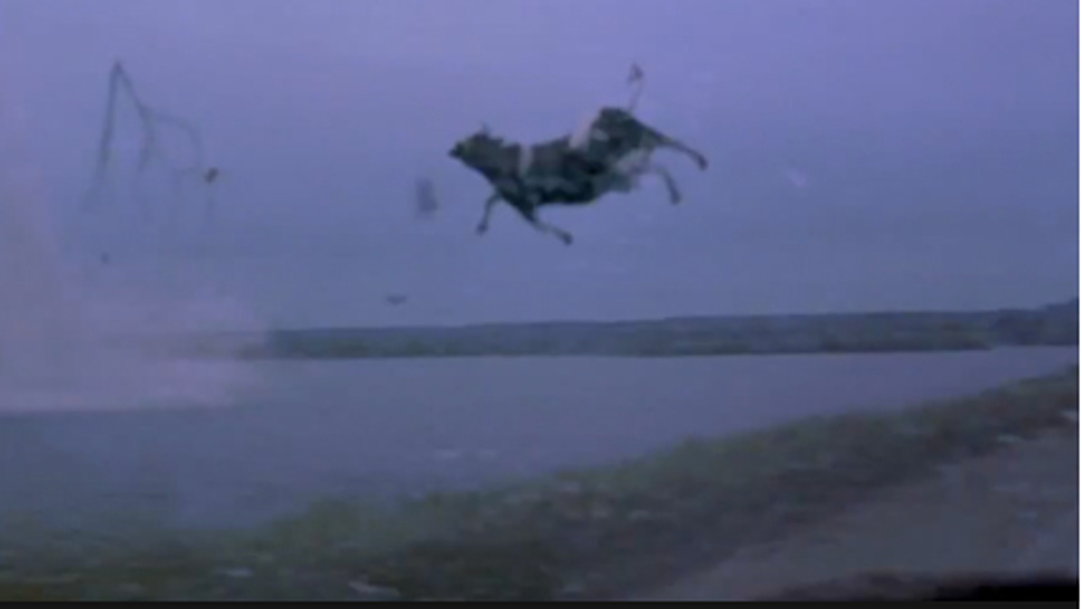 Witness Footage of Cows Flying Through a Wyoming Tornado
