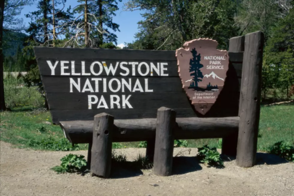 (OPINION) Yellowstone National Park Installing Fiber Optic Cables? Yes, Please!