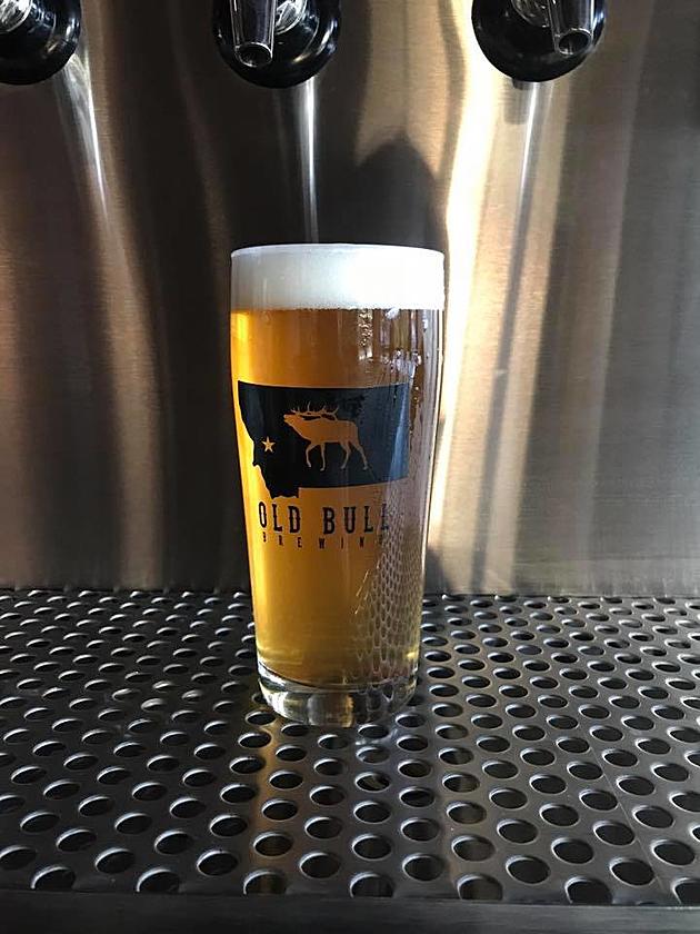 Old Bull Brewing Grand Opening Saturday in Frenchtown
