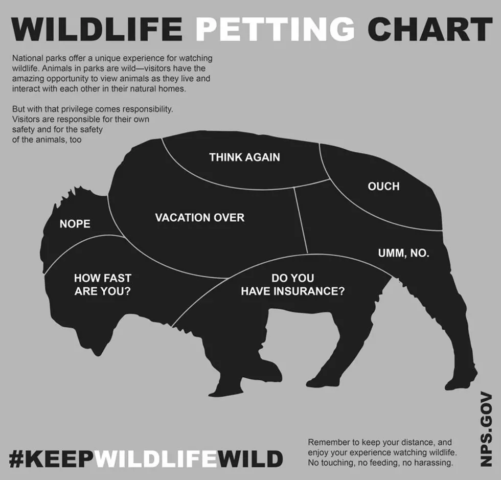 National Park Service Issues Hilarious Wildlife Selfie Chart