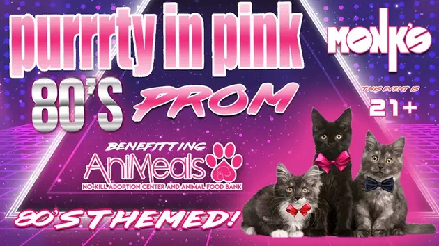AniMeals Hosts &#8220;Purrrty in Pink&#8221; 80&#8217;s Prom at Monks