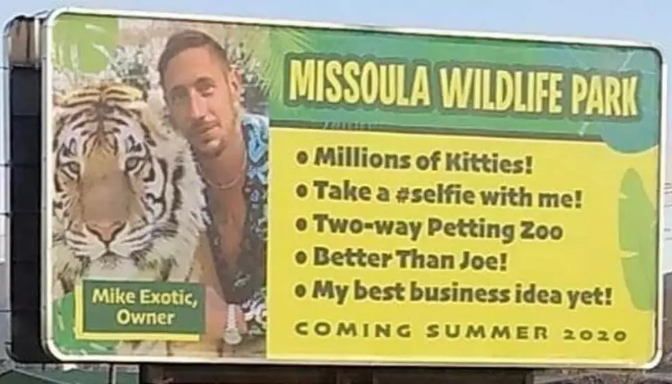 Have You Seen Missoula’s Kittie King ‘Mike Exotic?’
