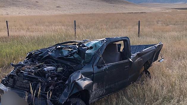 Elk Hunter&#8217;s Life Saved by Seat Belt After Collision With Elk