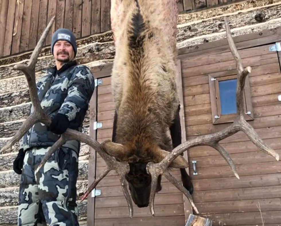 Kid Rock Bags Monster Montana Bull Elk