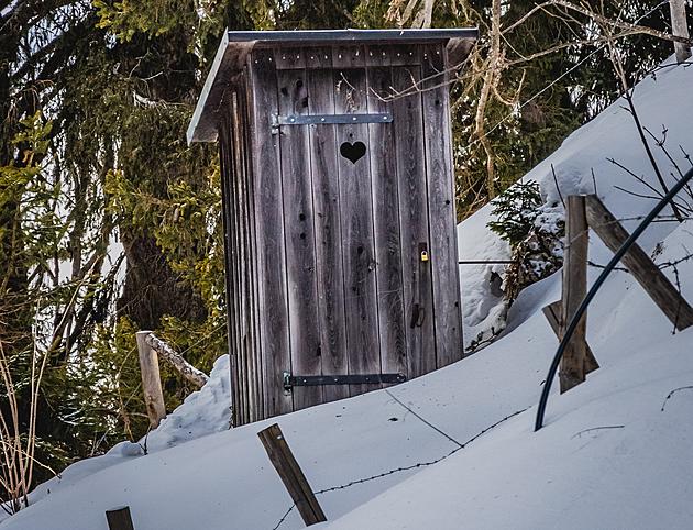 Woman Encounters Bear in Outhouse