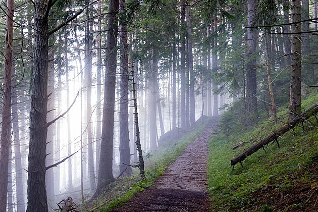 Take a Hike on These Haunted Montana Hiking Trails