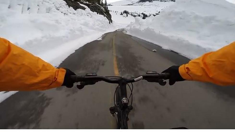 POV Spring Bike Decent on Going to the Sun Road in Glacier National Park