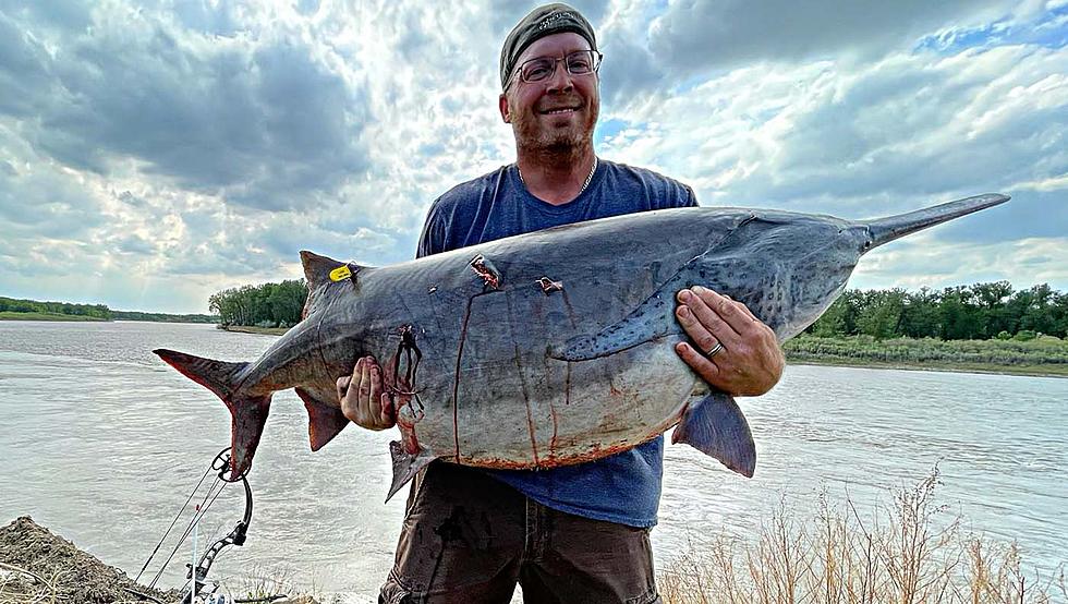 Huge World Record Paddlefish Caught in Montana With Bow and Arrow