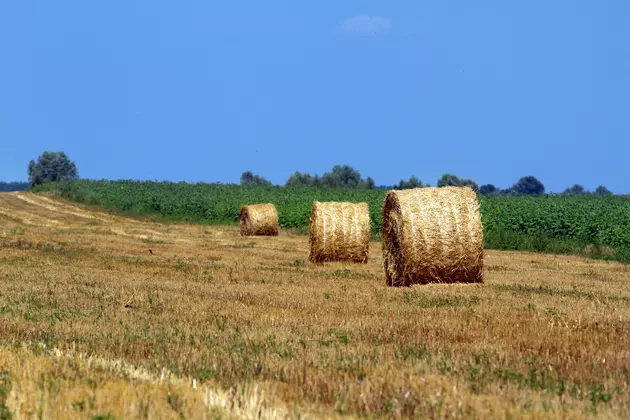 WATCH as High Montana Winds Move Massive Hay Bail at a Quick Pace