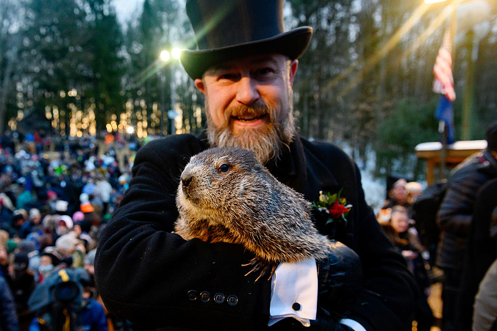 Should Montanans Care About What Phil the Groundhog Has to Say?