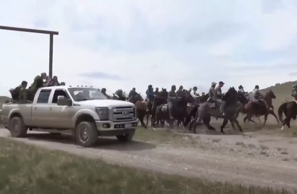 WATCH Video Shows How Wild Antler Shed Hunting Can Be in Montana