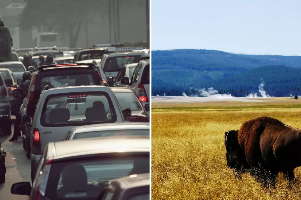 WATCH Aerial Footage Show Insanely Long Lines at Yellowstone Park