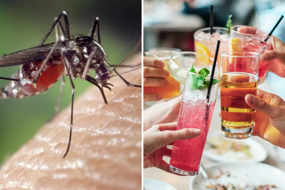 Montana: Drink Less Booze and Mosquitoes Will Leave You Alone