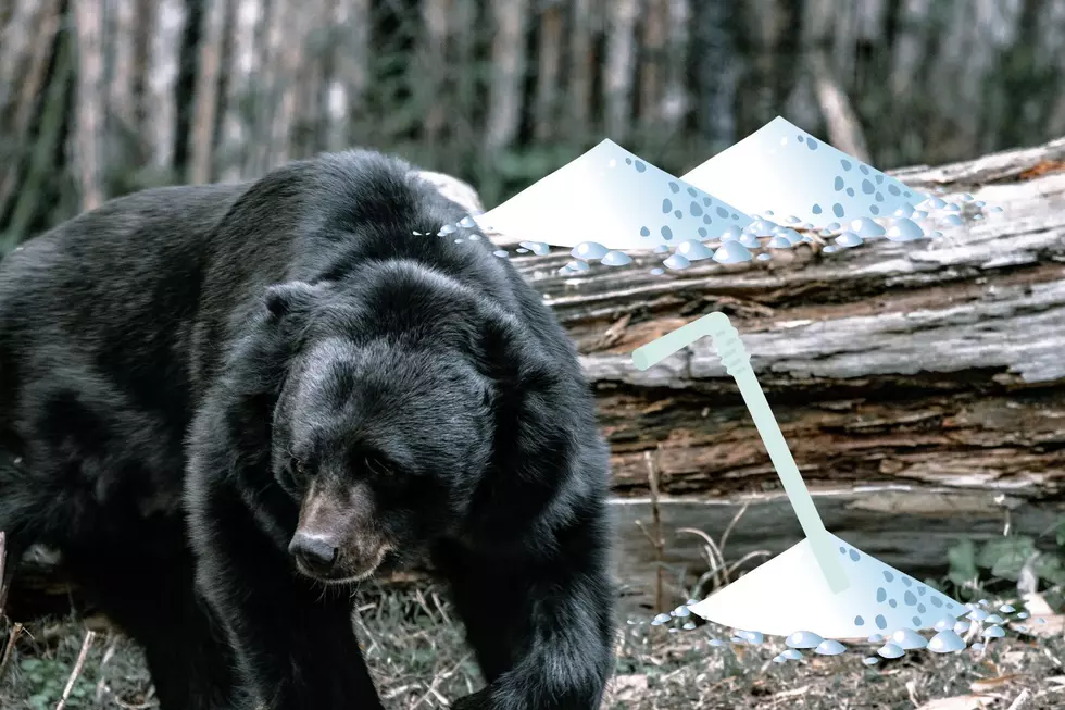 Missoula Born Actor to Star in Upcoming ‘Cocaine Bear’ Movie 2023