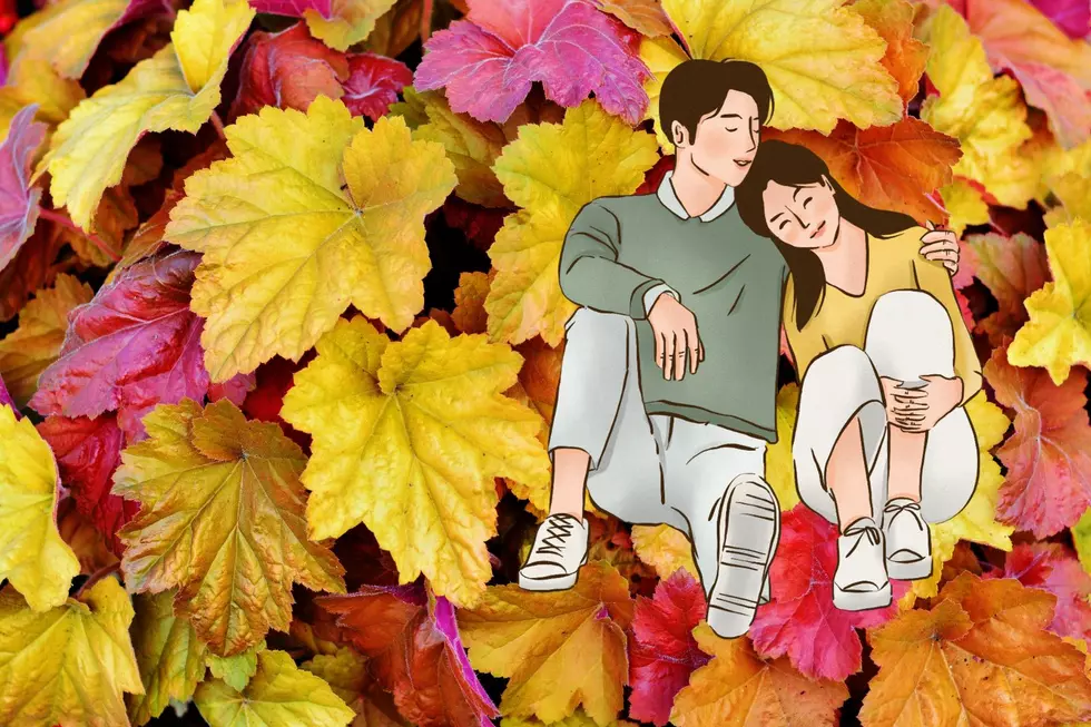 5 Examples of Typical Montana Couples in Fall. Are you Guilty?