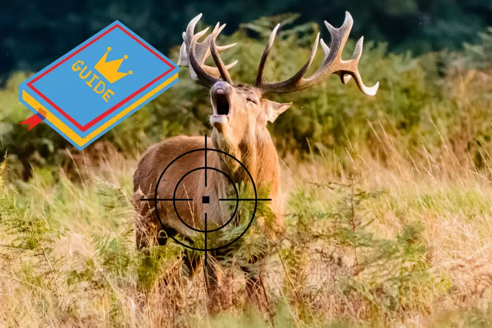 My Unspoken Montana Hunting Rules You Need To  Know and Pass On