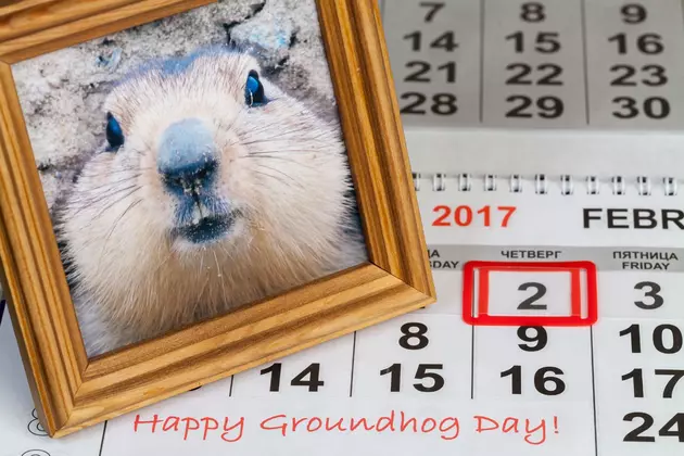Do Montanans Care About What That Groundhog Says about Winter?