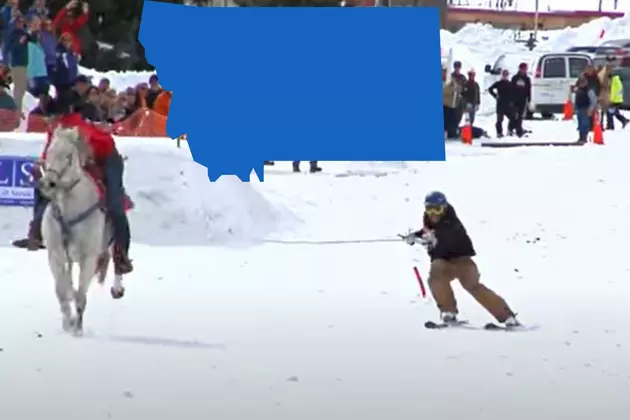 Whoa Nelly! Wisdom Montana Is Getting Crazy With Skijoring