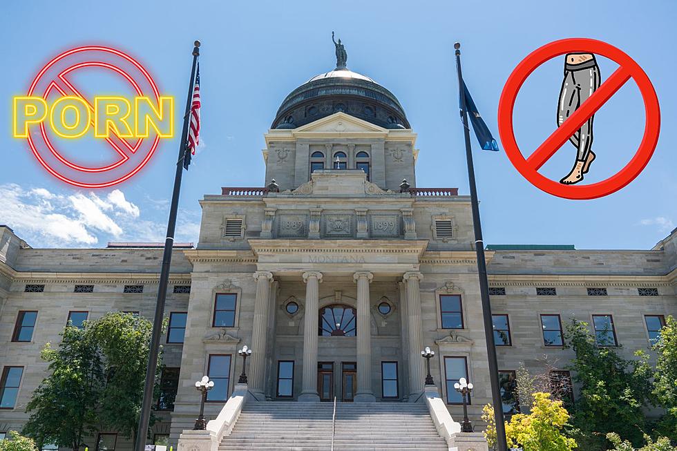 Crazy in Helena? Remember They Tried to Pass These Bizarre Laws?