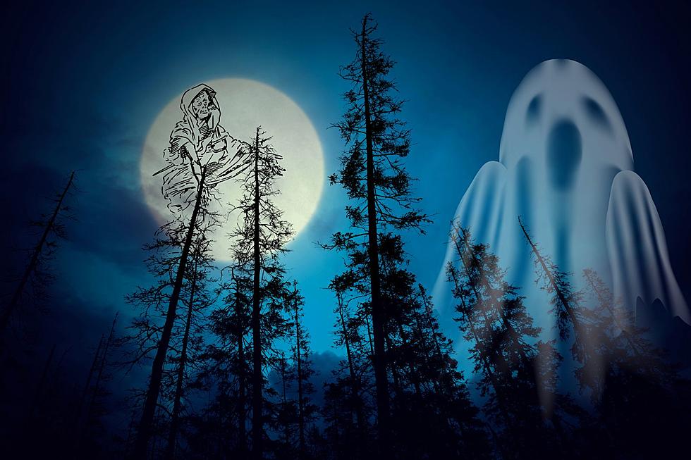 Wanna Take a Haunted Hike? Top 3 Most Haunted Trails in Montana