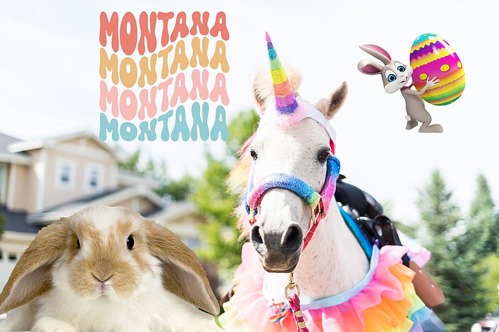 The Most Montana Thing on 406 Day: Easter Bunny Riding a Unicorn
