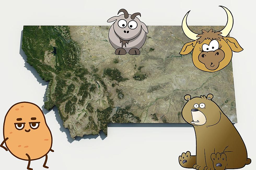 Video Shares Some Hilarious ‘Facts’ About Montana on 406 Day
