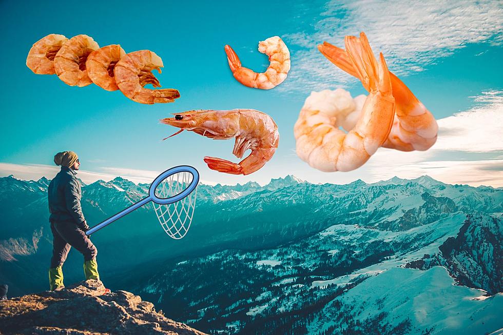 Montana Made Shrimp? You Can Now Buy Seafood Raised in Montana