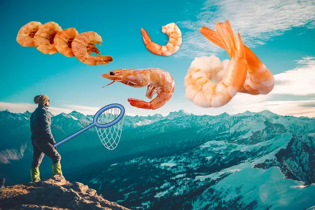 Montana Made Shrimp? You Can Now Buy Seafood Raised in Montana