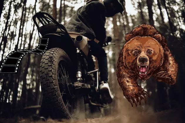 Nightmare Fuel: Video of Griz Attacking Motorcycle Rider Surfaces
