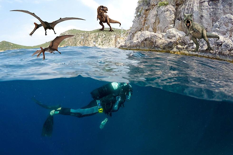 Dive into the Past: Montana Divers Swim with Prehistoric Fish