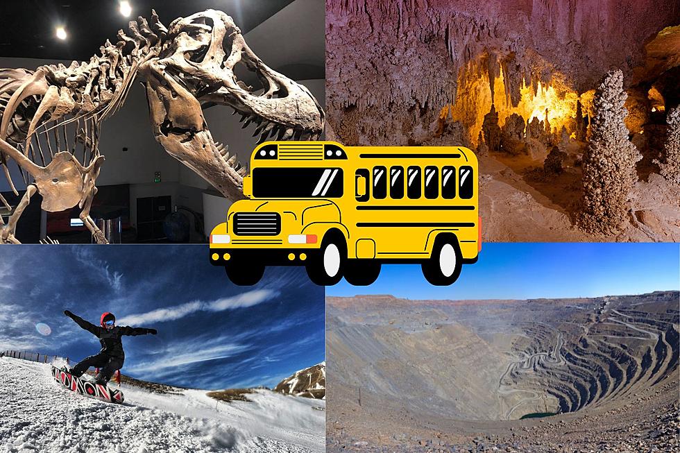 You Probably Went On One Of These Montana Field Trips Growing Up