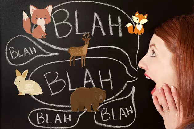 Hilarious Video Shows How to Communicate with Montana Wildlife