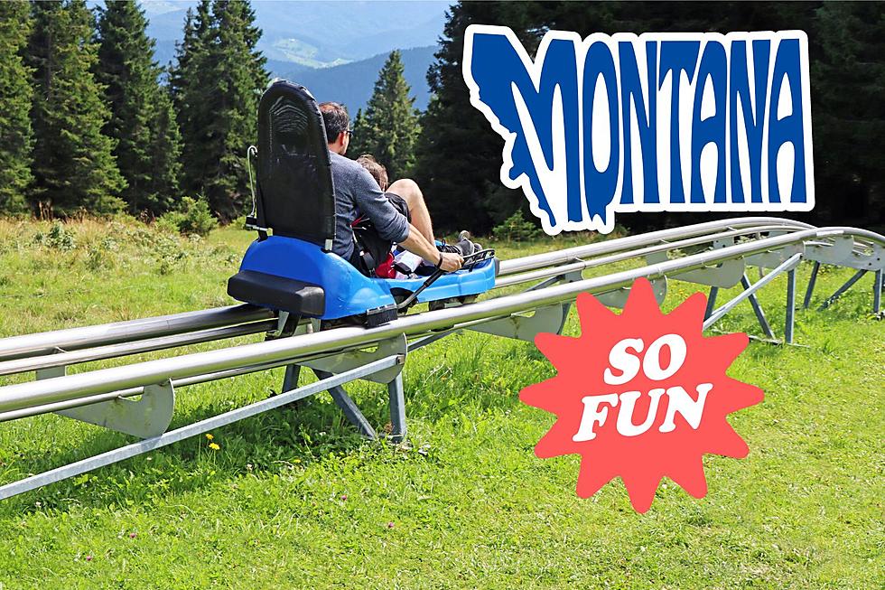 Look Out Below! Honest Review of Montana’s First Alpine Coaster