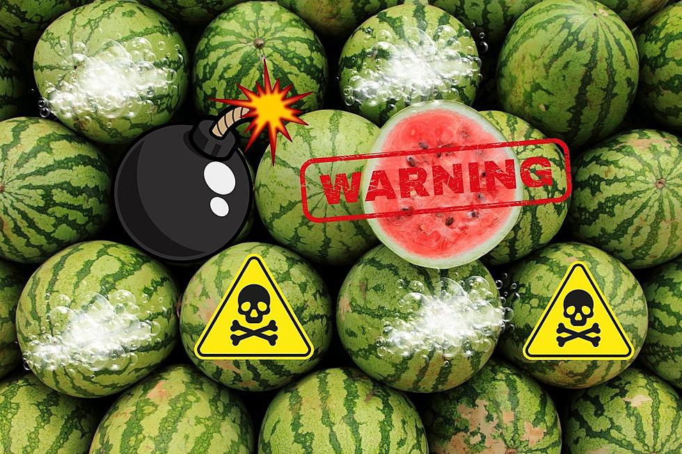 Montana Beware: Watermelons are Exploding and Possibly Deadly