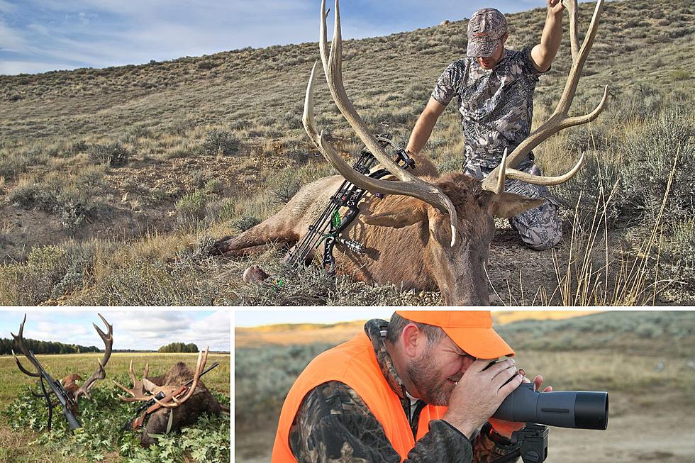 FWP Predicts Big Year for Big Game: 2023 Montana Hunting Forecast