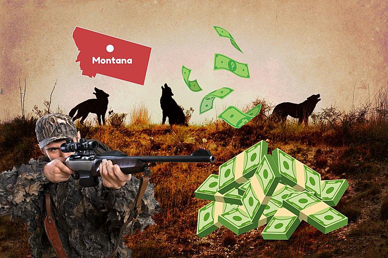 Rickards Hunting License Holder Single Camo – PredatorsArchery