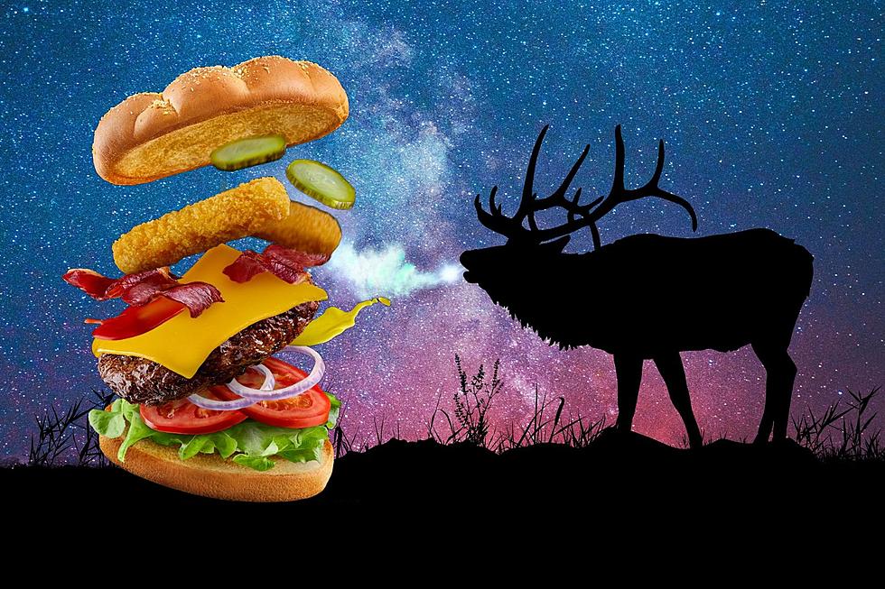 Montana Hunter Reviews Fast Food's Attempt at Big Game Burger
