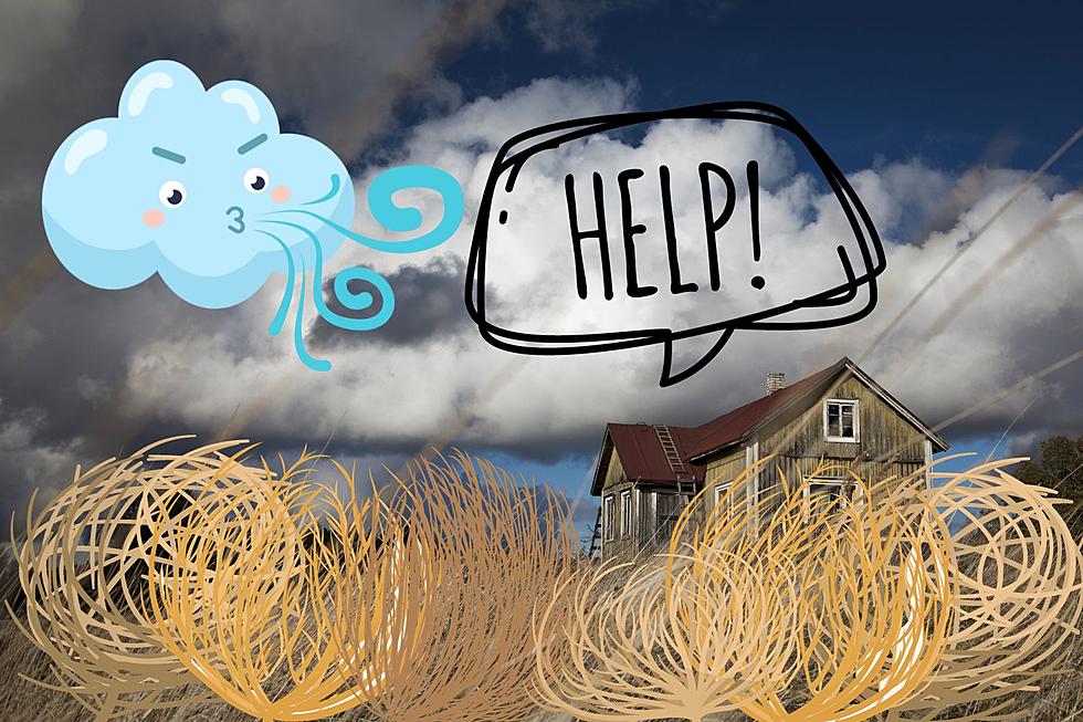 [WATCH] Montana Winds Bury Homes in a Massive Sea of Tumbleweeds