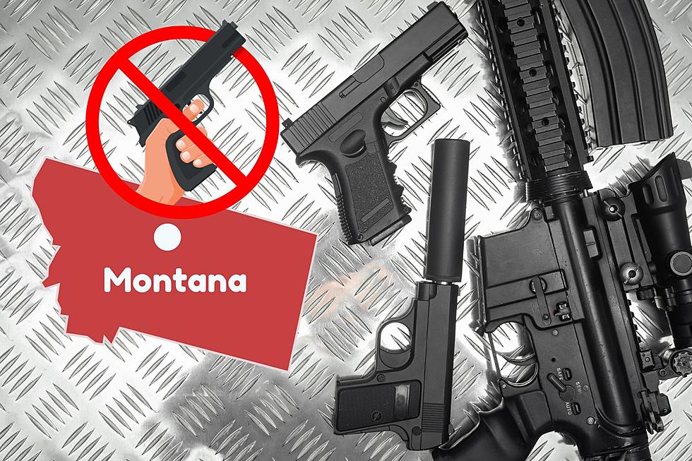 Montana Cops Can Confiscate Your Guns for a Very Specific Reason