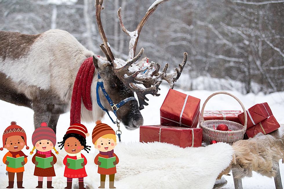 See Real Reindeer Live In Missoula. This Is Not A Drill, Kids.