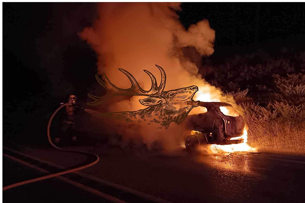 Scary Elk Crash Turns To Flames. You Know, Northern Montana Stuff